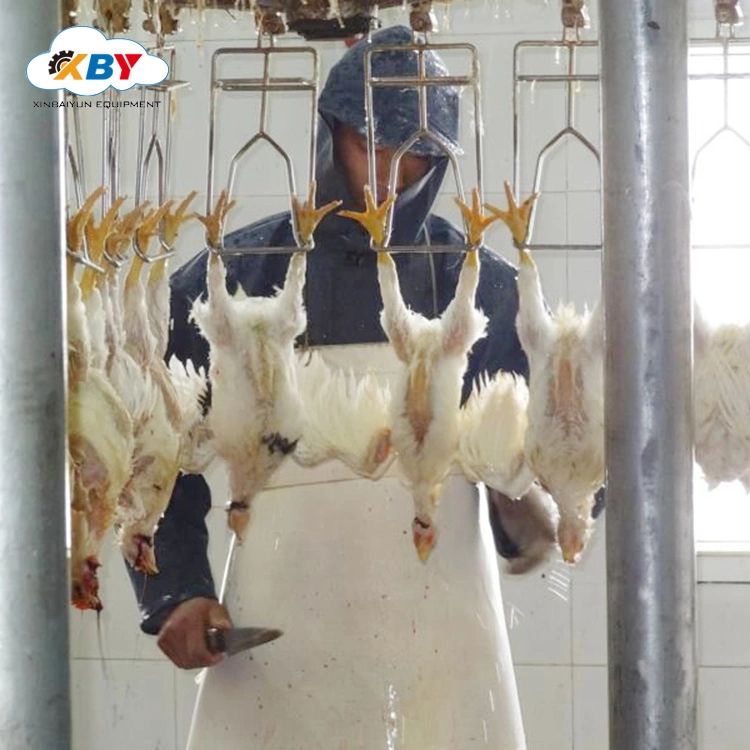 High Quality Poultry Chicken Abattoir Slaughtering Equipment Line Slaughterhouse Equipment