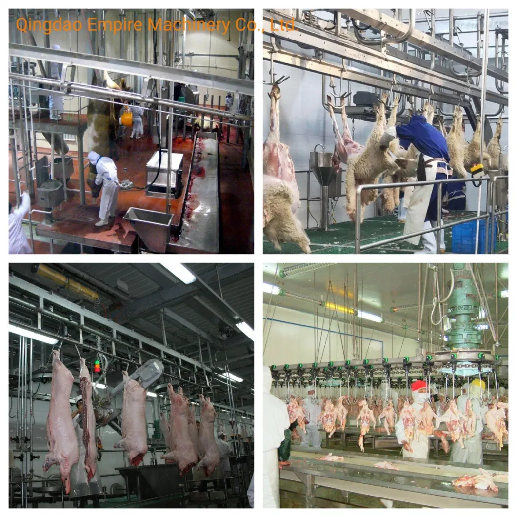 Pig Sheep Cattle Cow Slaughterhouse Used Slaughter Hooks Abattoir Equipment for Sale