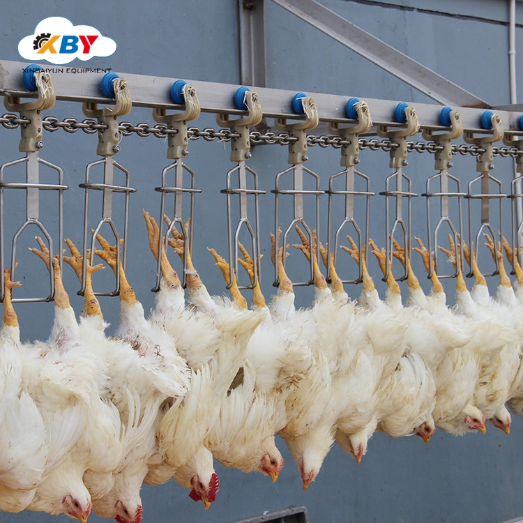 Chicken Slaughter Equipment for Chicken Processing Production in Poultry Slaughter Line with Excellent Quality an Reasonable Price