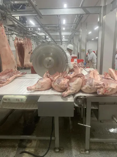 Cow Skin Dehair Machine for Sale/Pig Skin De Hairing Machine/Cattle Lamb De Hairing Machine Slaughtering Equipment