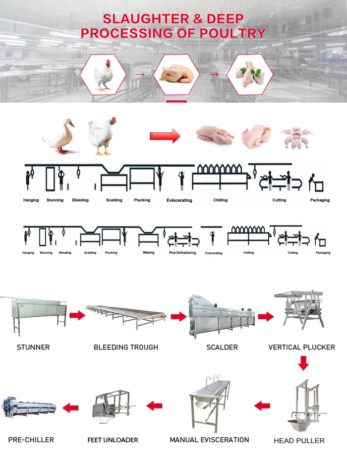 Poultry Slaughter Equipment for Poultry Chicken Abattoir