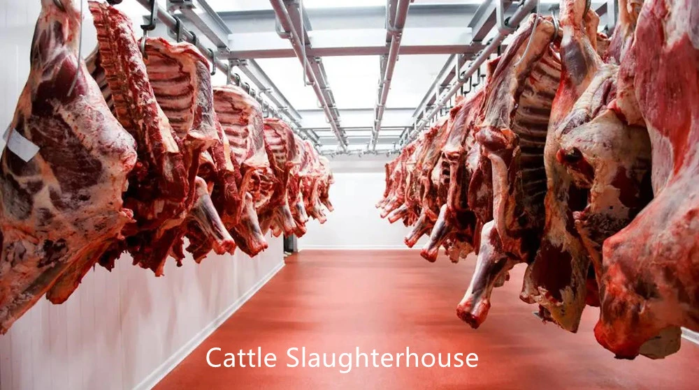 Halal Slaughter Equipment of Pigs Cattle Sheep and Poultry