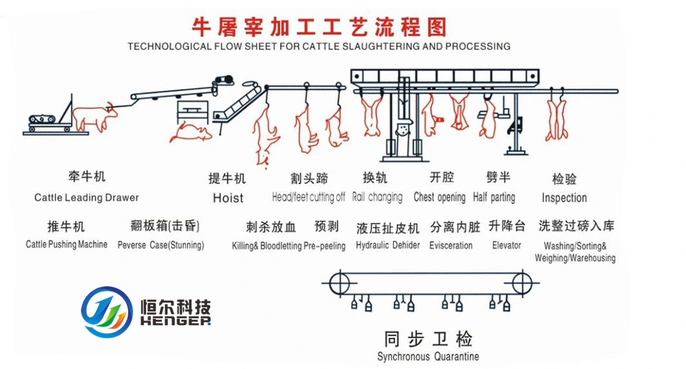 Abattoir Slaughter Equipment Processing Line for Cattle Pig Sheep