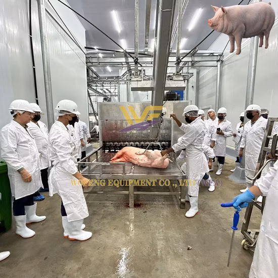소 양 돼지 돼지 도살 라인/도살 기계/장비