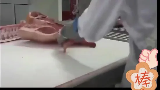 돼지 소 양 도살 장비 / 대량 도살