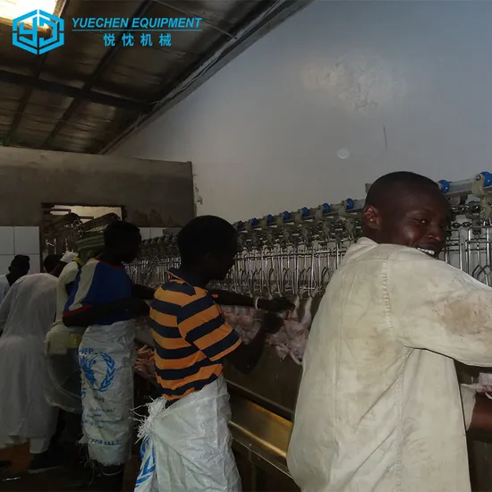 아프리카 뜨거운 판매 자동 강철 Chaine 가금류 닭 도살 도살장 장비 좋은 가격