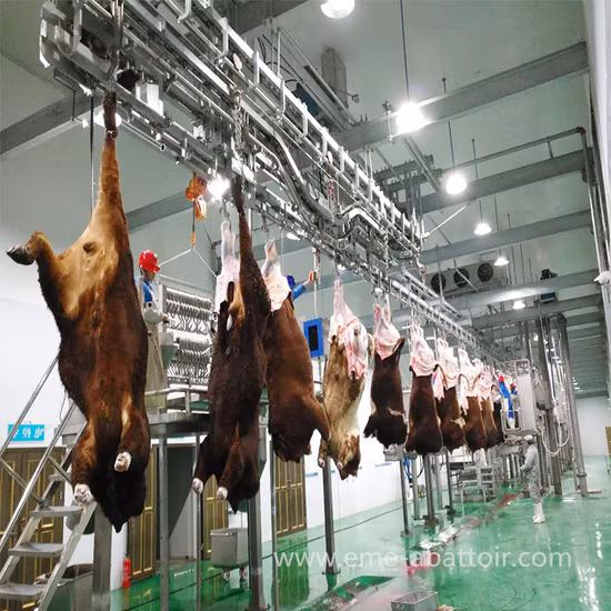소 쇠고기 소 소 도살장 가공 라인 판매용 도살 장비